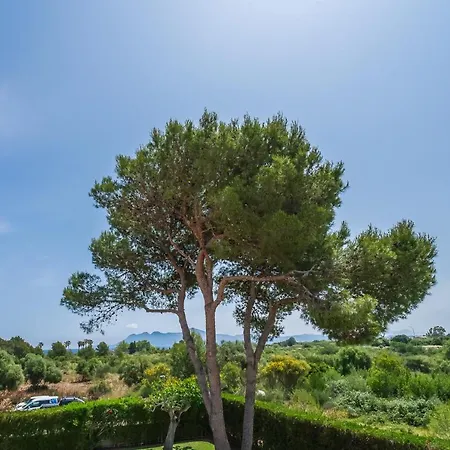 Ideal Mallorca - Anna Ferienhaus